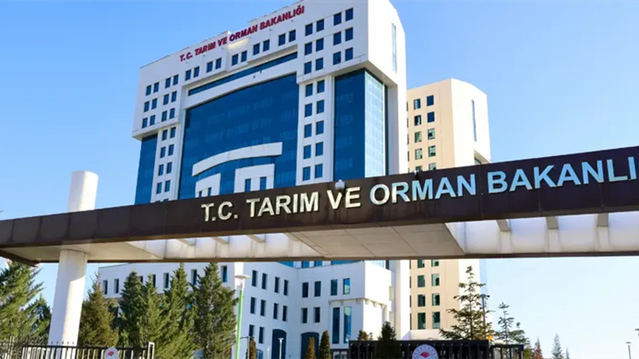 Sayıştay, TÜRKVET'te 2,5 milyon büyükbaş ve 35 milyon küçükbaşın aşı kaydını bulamadı