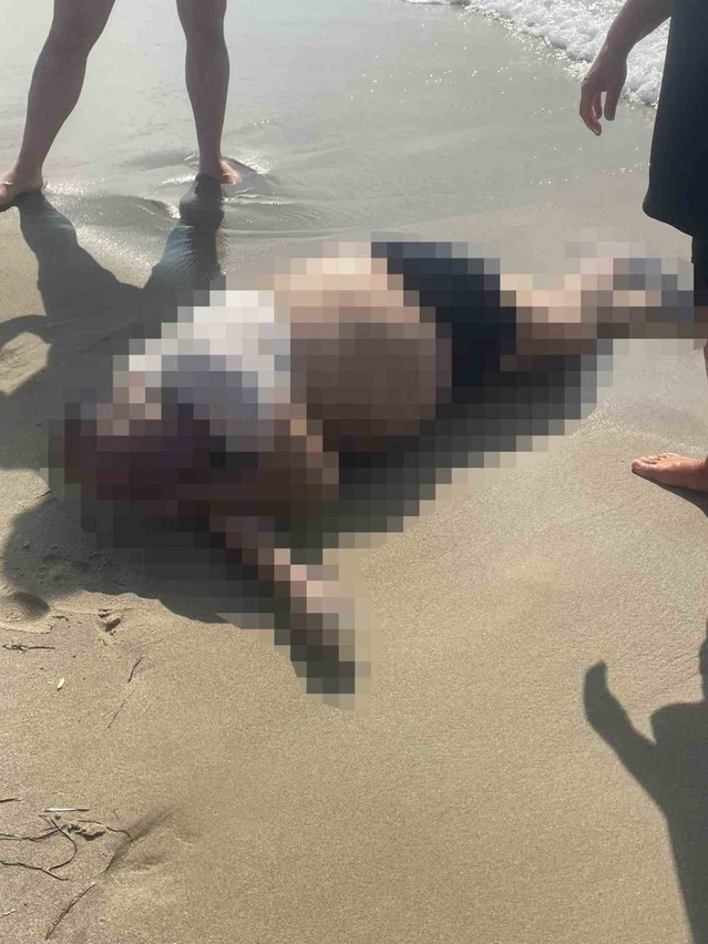 Yattan düştüğü iddia edilen müteahhidin cansız bedeni Kuşadası sahilinde bulundu