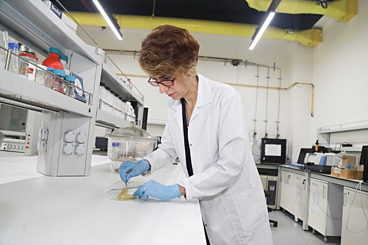 BTÜ, gıda atıklarından biyobozunur ambalaj için TÜBİTAK desteği aldı