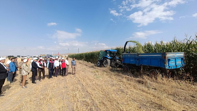 İl Tarım Müdürü Şişman, Van Tuşba'da 47 dönümde 250-300 ton silajlık mısır bekliyor