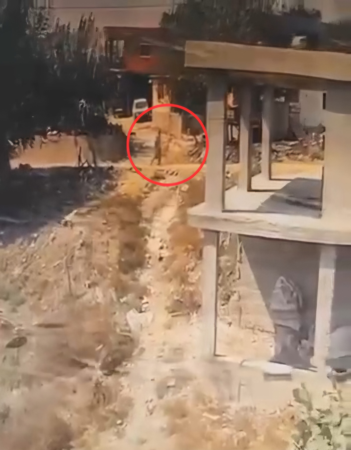 Adana Sarıçam\'da köpeğe sopayla şiddet anları kameraya yansıdı, soruşturma başlatıldı