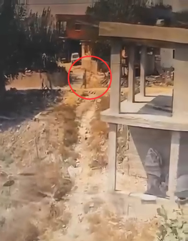 Adana Sarıçam'da köpeğe sopayla şiddet anları kameraya yansıdı, soruşturma başlatıldı