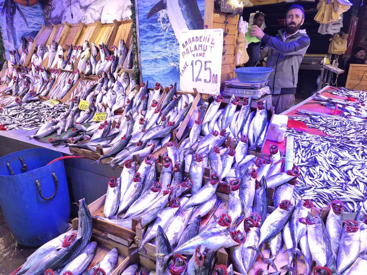 Eskişehir\'de balıkçı, palamut bolluğunun yanında hamsinin de bol olduğunu söyledi