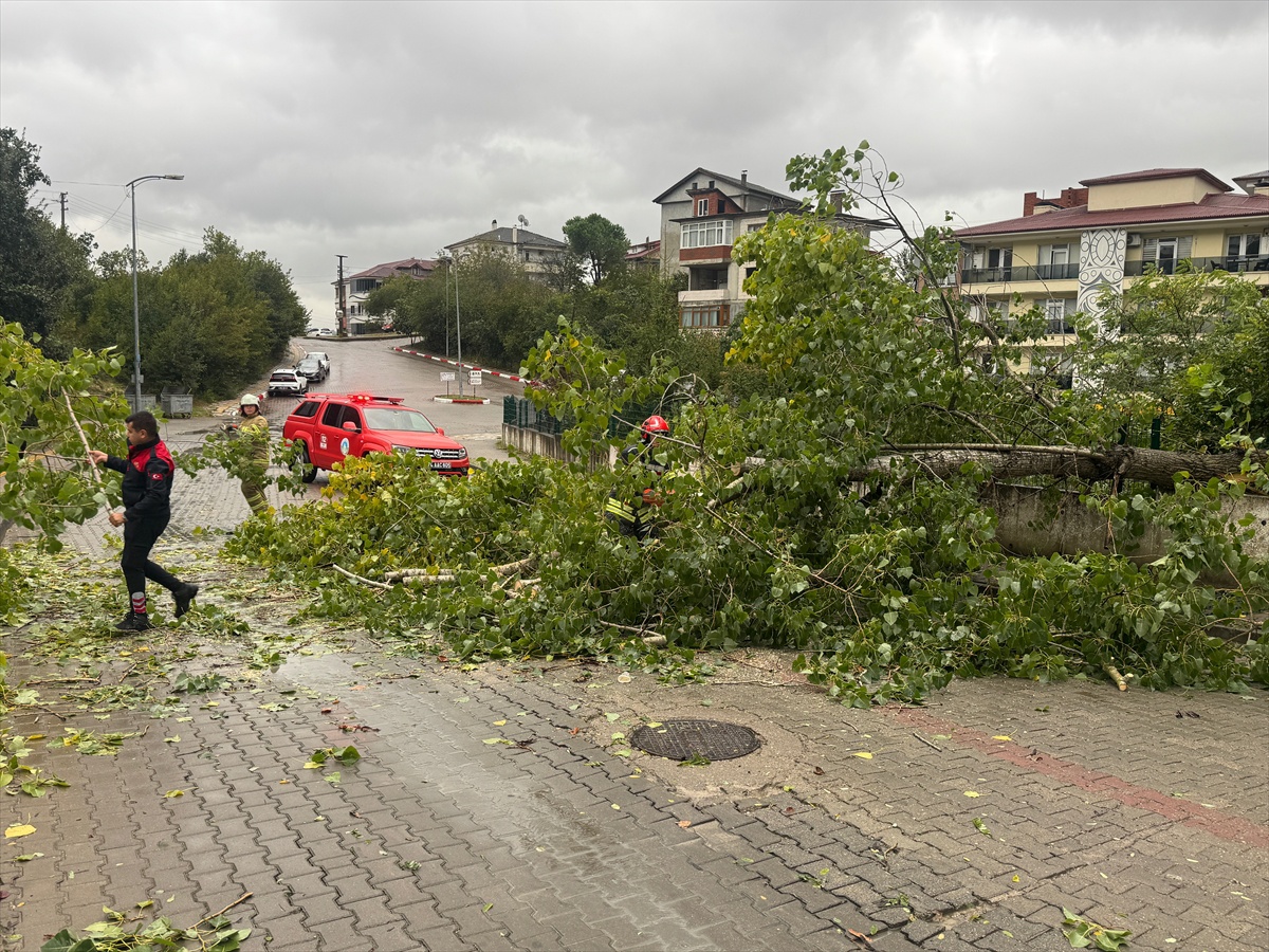 Bartın\'da sağanak ve kuvvetli rüzgar ağaçları devirdi, asansörde 8 kişi kurtarıldı