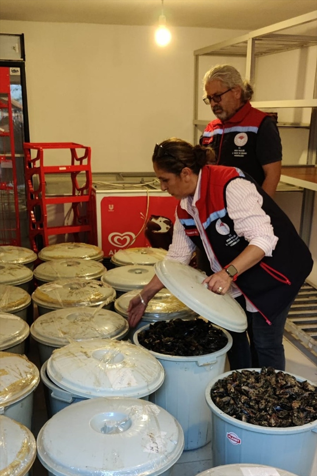 Bolu Abant gişelerinde jandarma, bir araçta 650 kg bozuk midye ele geçirdi