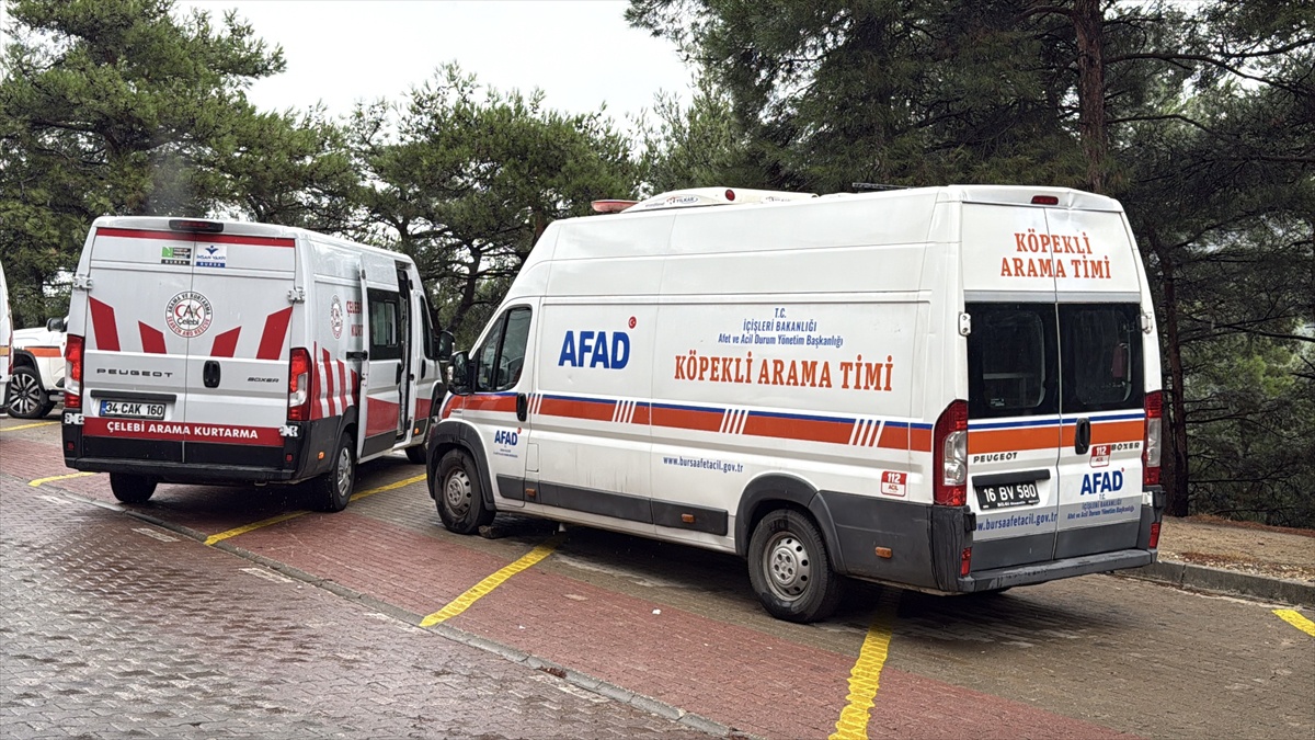 Bursa Nilüfer\'de ormanda vücut bütünlüğü bozulmuş ceset bulundu