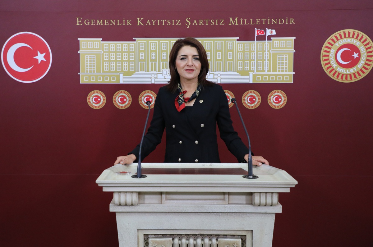 CHP\'li Kış, Mersin narenciye ihracatı için Meclis Araştırması istedi