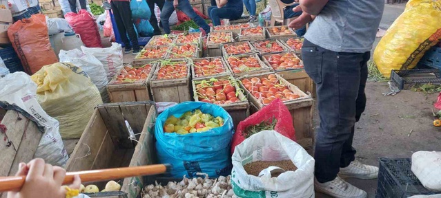 Diyarbakır Çüngüş'te ata tohumu domates hasadı başladı, 20-30 liradan satılıyor