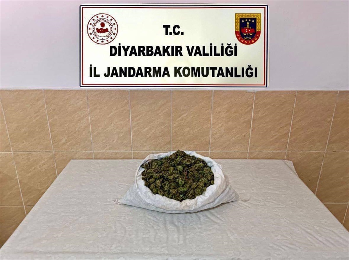 Diyarbakır\'da 253 bin 752 kök kenevir ele geçirildi, 25 şüpheliye işlem yapıldı