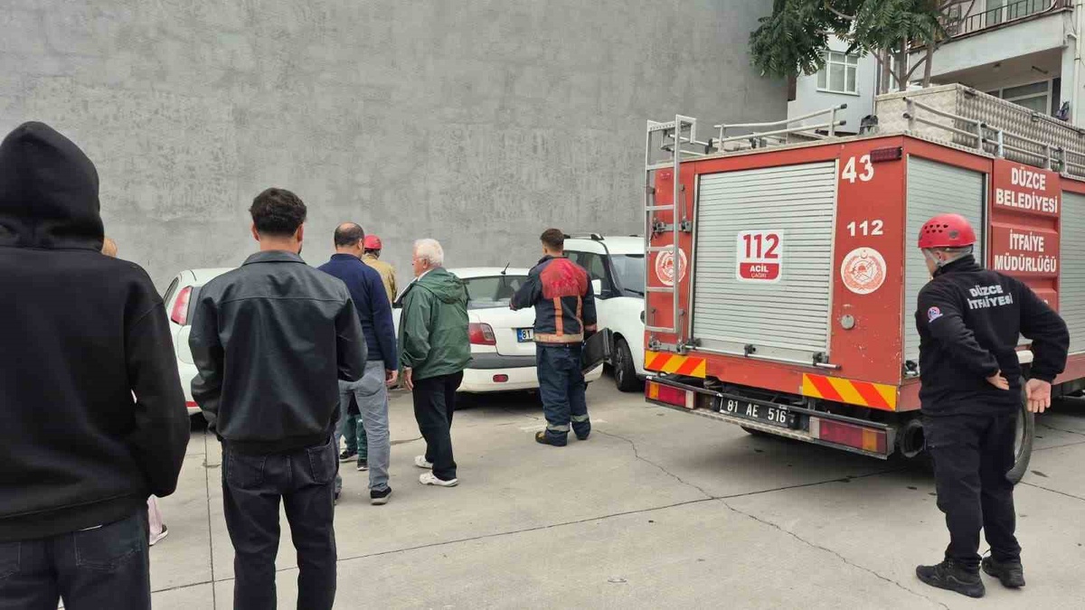 Düzce\'de yavru kedi iki aracın motoruna girince itfaiye iki kez seferber oldu