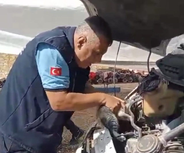 Gaziantep İslahiye'de motoruna sıkışan yavru kediyi zabıta ve itfaiye 45 dakikada kurtardı