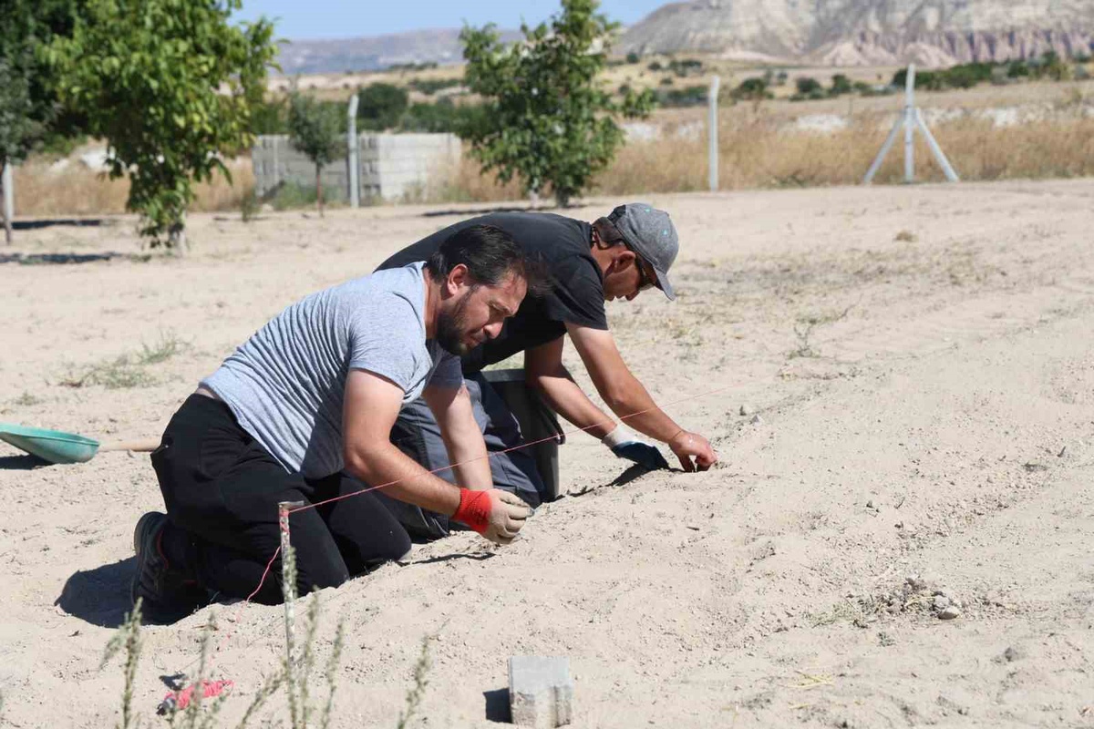 Safran Göreme\'de 2,5 dönümde toprakla buluştu, tarım turizmi hedefleniyor