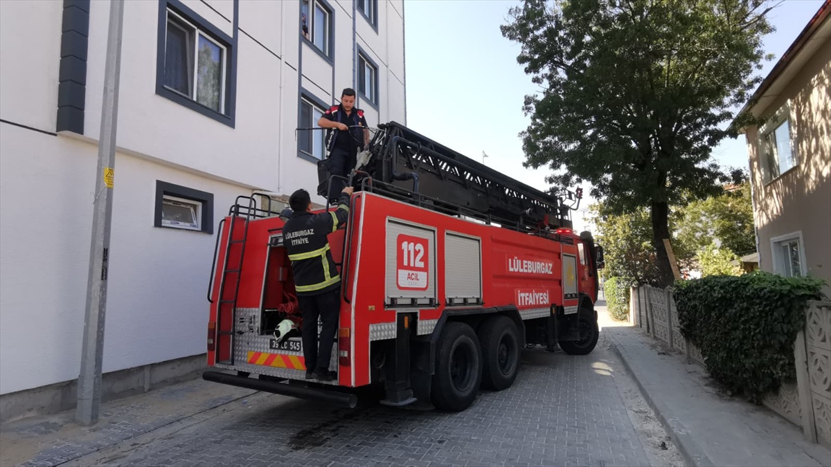 Lüleburgaz\'da ağaçta mahsur kalan kedi, itfaiye ekiplerince merdivenle kurtarıldı
