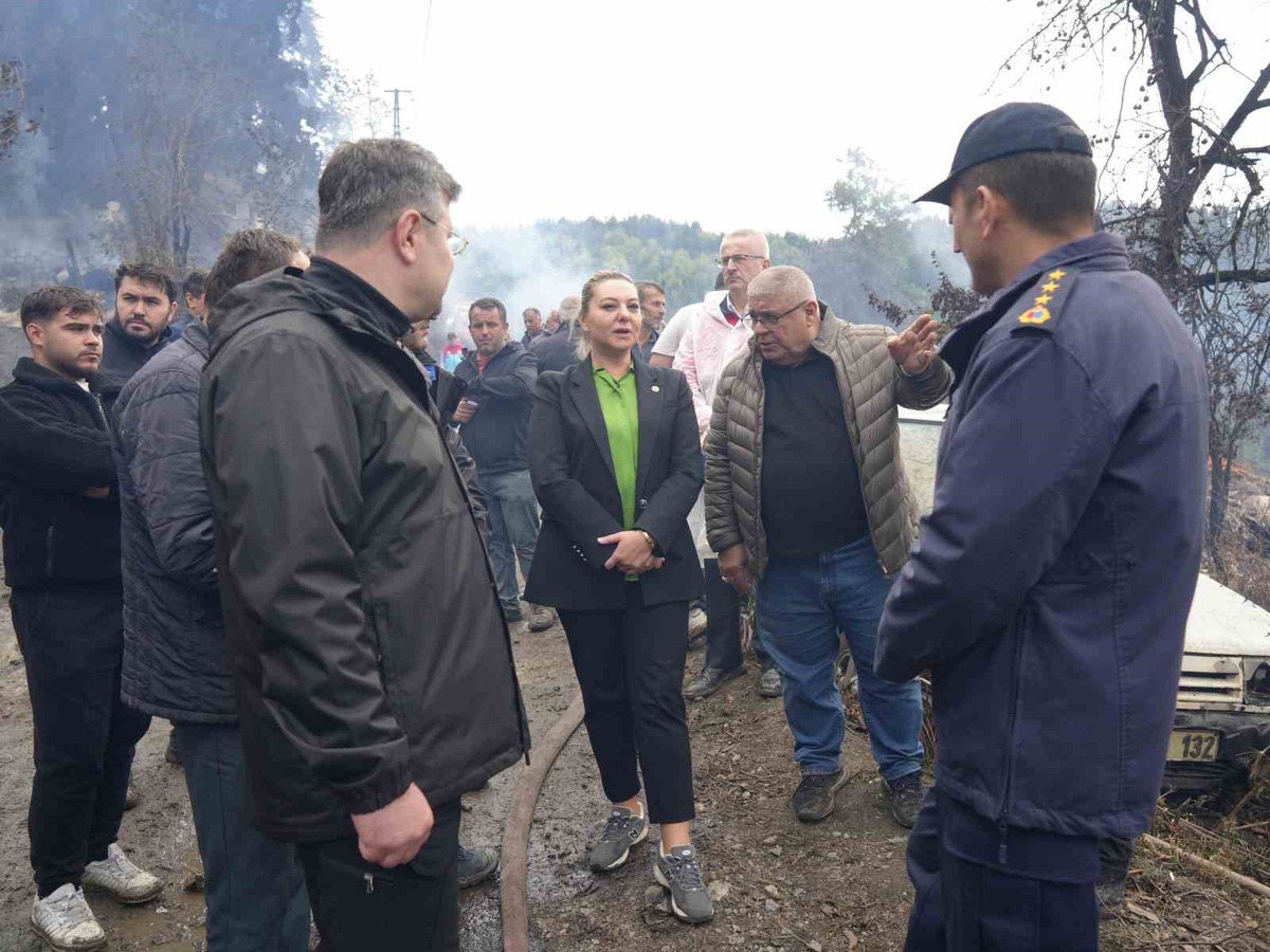 İnebolu Deresökü\'de 11 ev yandı, Ekmekci can kaybı olmadığını söyledi