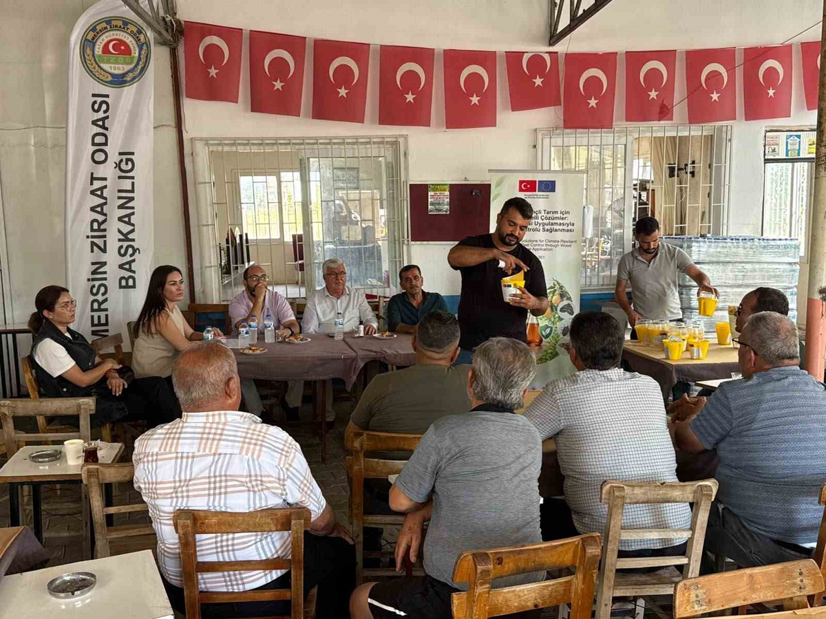 Mersin\'de çiftçilere Akdeniz meyve sineği için odun sirkesi eğitimi verildi