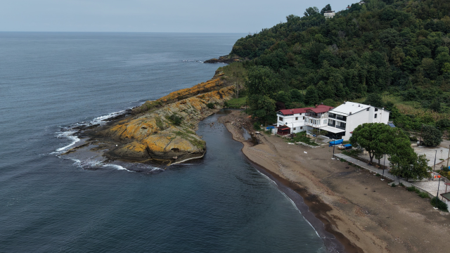 Ordu'da Timsah Adası ziyaretçi akınına uğruyor
