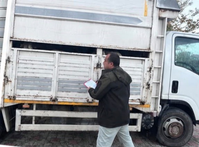 Sapanca'da jandarma kontrolünde 11 küçükbaş hayvan belgesiz sevk edilirken yakalandı