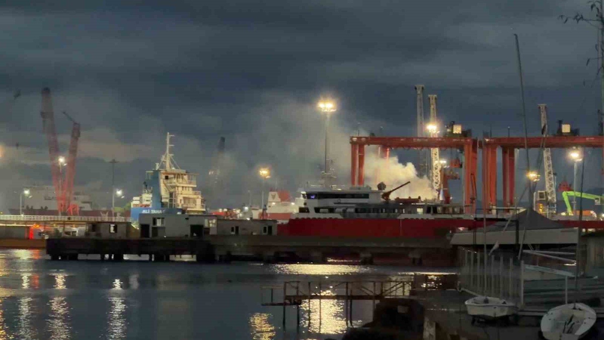 Tekirdağ Süleymanpaşa\'da Ceyport Limanı\'ndaki kamyonet yangını kontrol altına alındı