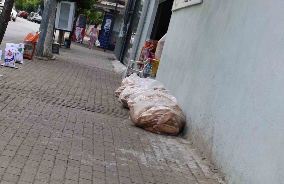 Yılda 542 bin ton ekmek çöpe: İsrafın bedeli 38 milyar lirayı buldu