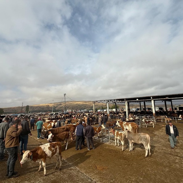 Yozgat'ta şap nedeniyle tüm hayvan pazarları ikinci talimata kadar kapalı kalacak