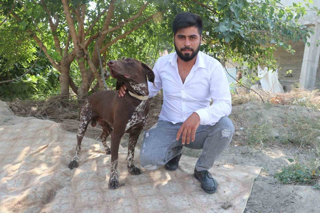 Bunu yapan insan olamaz! Köpeğe öldüresiye şiddet kamerada