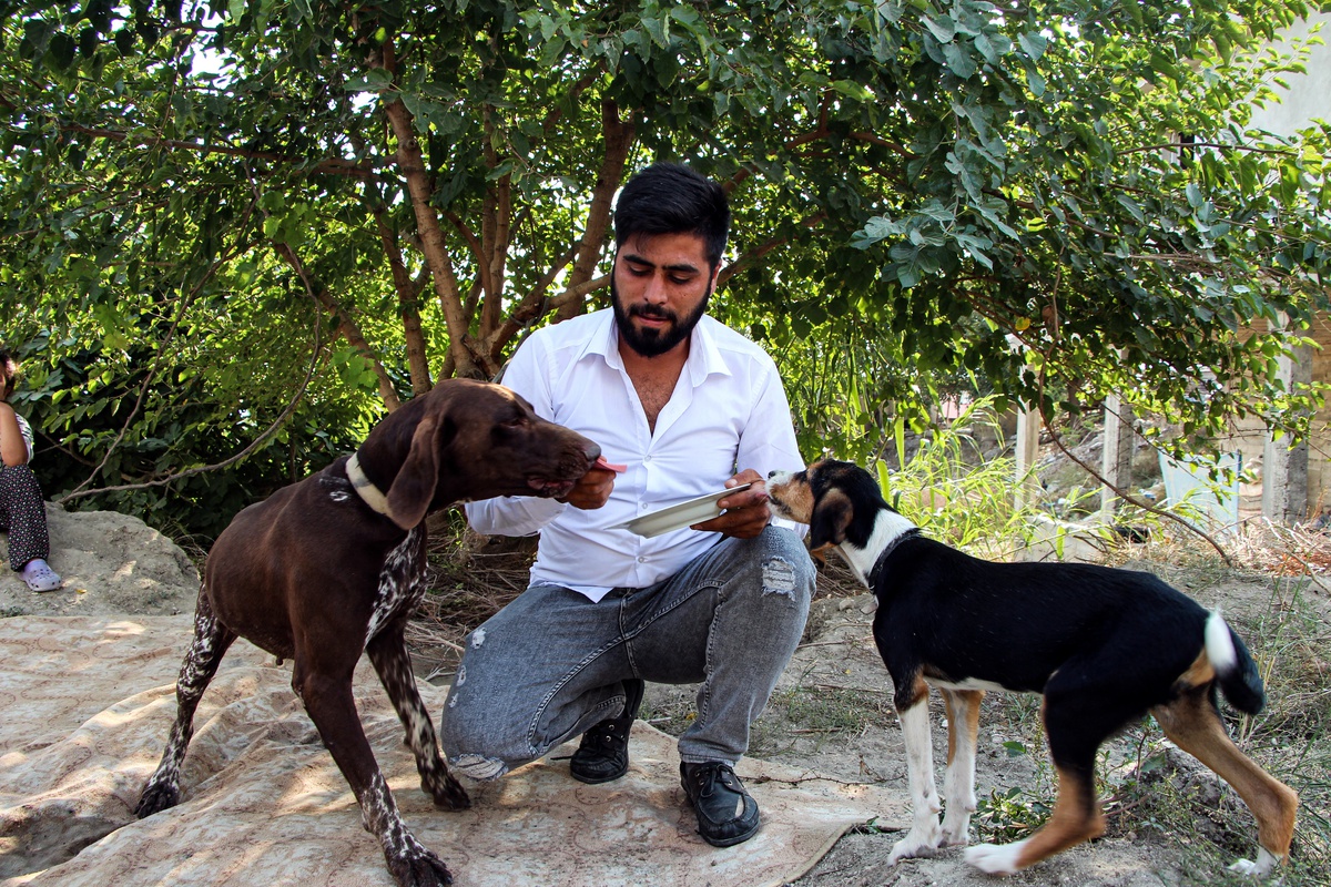 Sarıçam\'da inşaatta uyuyan köpeğe sopalı saldırı: Komşu \'tavuklarımı yedi\' savunmasıyla serbest bırakıldı