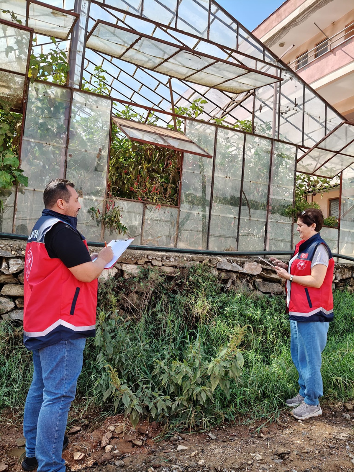 Alanya\'da İlçe Tarım ve Orman Müdürlüğü yaklaşık 22 bin dekar sera için puanlama başlattı