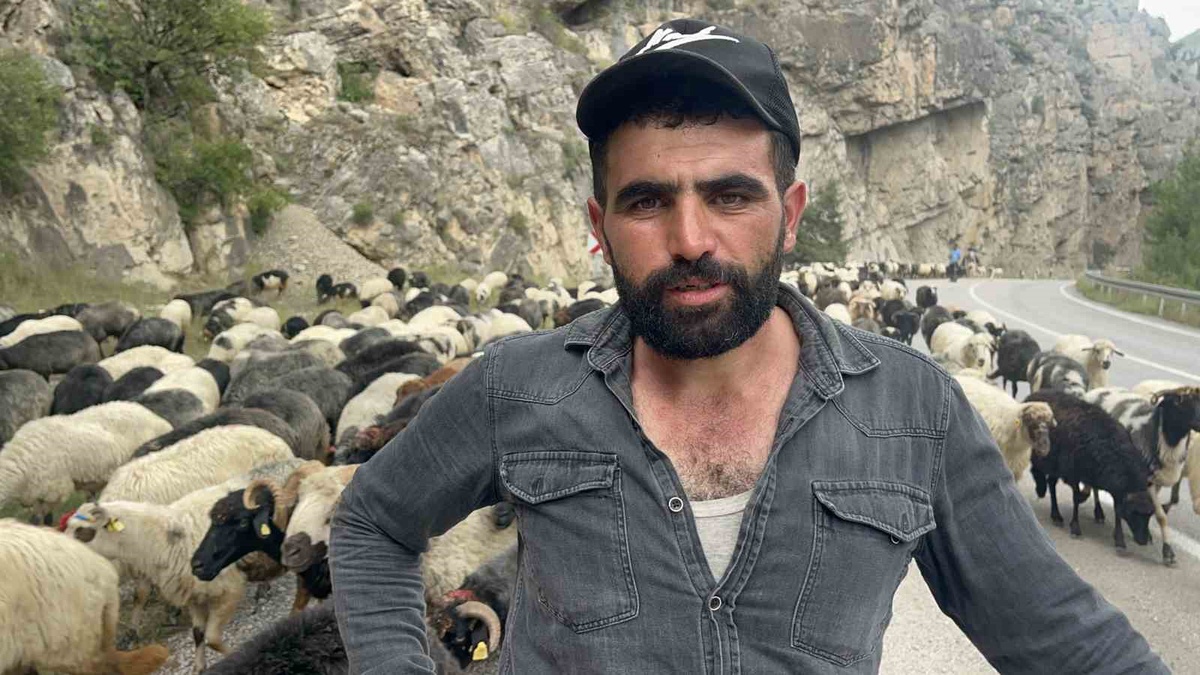Artvin\'in Seyitler köyündeki besici, 700 küçükbaş hayvanla yola çıktı