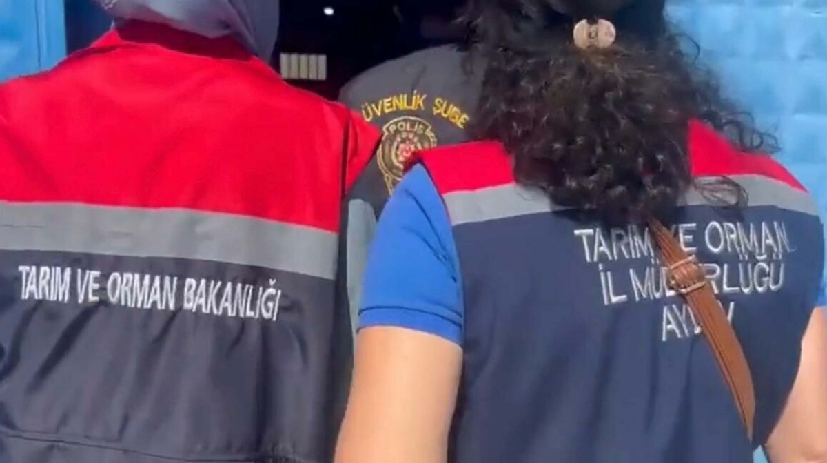 Aydın Köşk\'teki incir işletmesinde 25 ton etiketsiz incir ele geçirildi