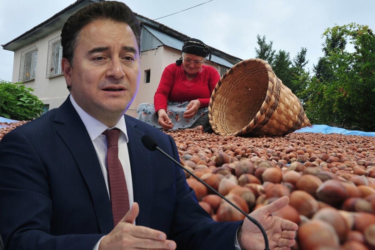 Babacan\'dan fon krizi eleştirisi: 20 milyar doları vurup geçiyorlar