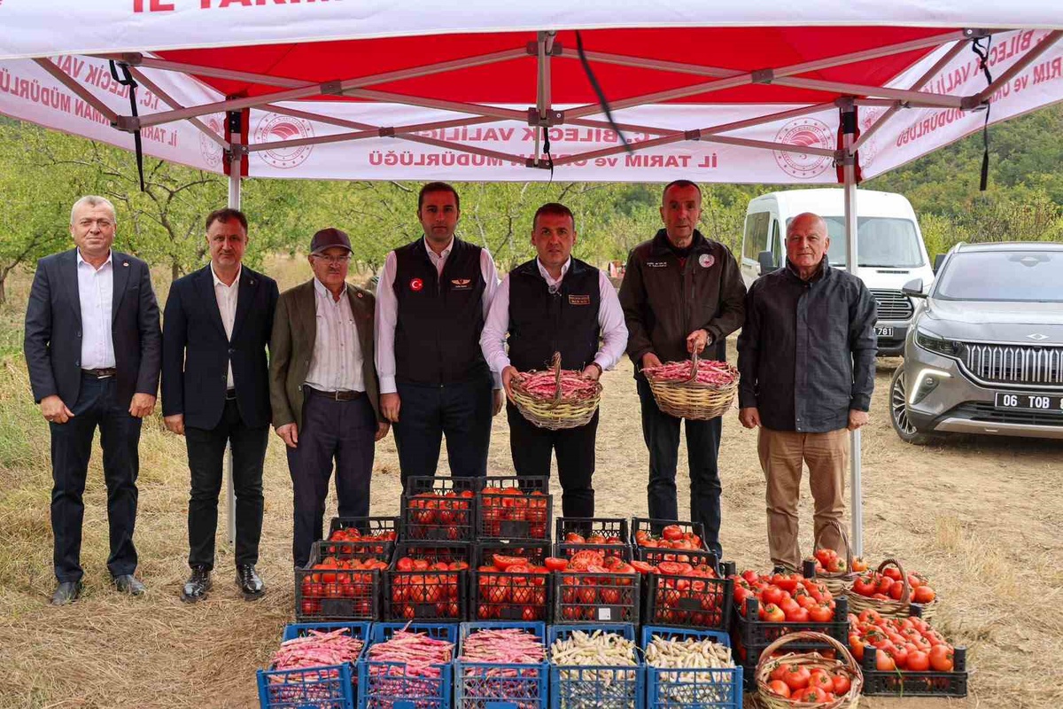 Bilecik Valisi Sözer, Osmaneli\'de barbunya hasadına katıldı, 4 bin 500 ton bekleniyor