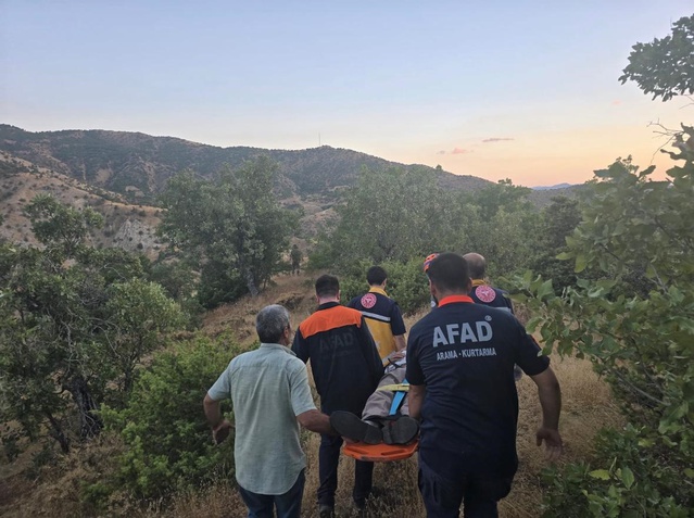 Jandarma ve AFAD ekipleri, Bingöl Genç'te kaybolan şahısı ormanda sağ buldu