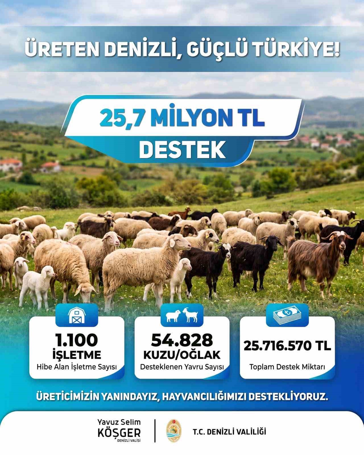 Denizli\'de 2025 2. dönem kuzu ve oğlak desteğinde 25 milyon 716 bin 570 TL ödendi