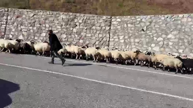 Erzurum yaylalarından dönen göçerler Palandöken Geçidi'nde yoğunluk oluşturdu