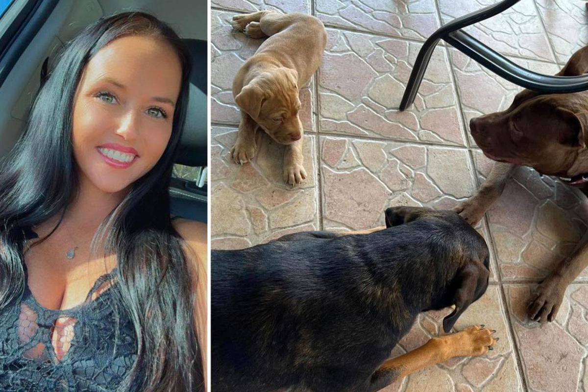 ABD\'de iki çocuk annesi kadın, eşi tarafından köpeğiyle ilişkiye girerken yakalandı