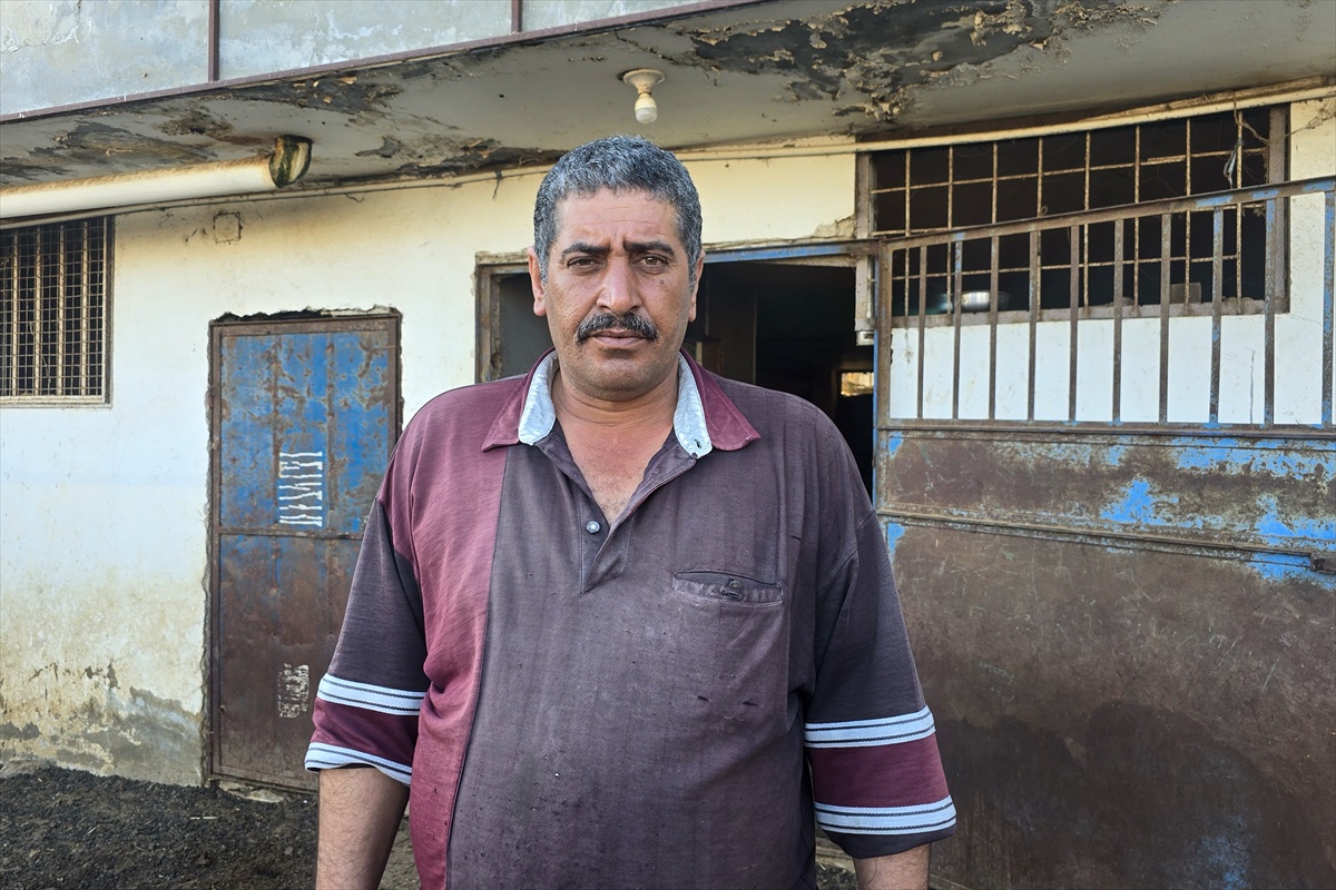 Suriye\'de çobanlık yapan çocuğa İsrail askerlerinden darp: Sürüsü araçla ezildi