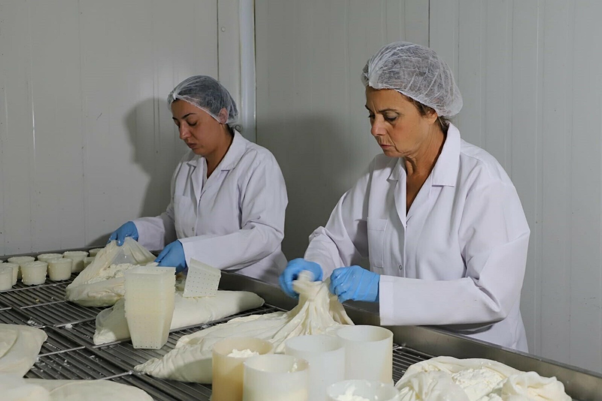Canan Urhan, Fransa\'da öğrendiği peynir yapımını Menemen\'de mesleğe dönüştürdü