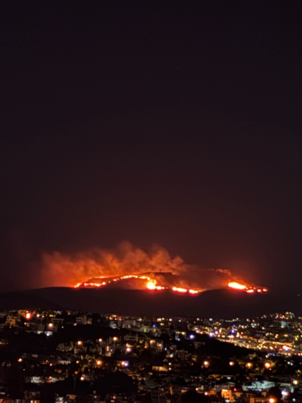 Muğla Bodrum\'da maki ve otluk alanda çıkan yangına itfaiye ve arazöz sevk edildi