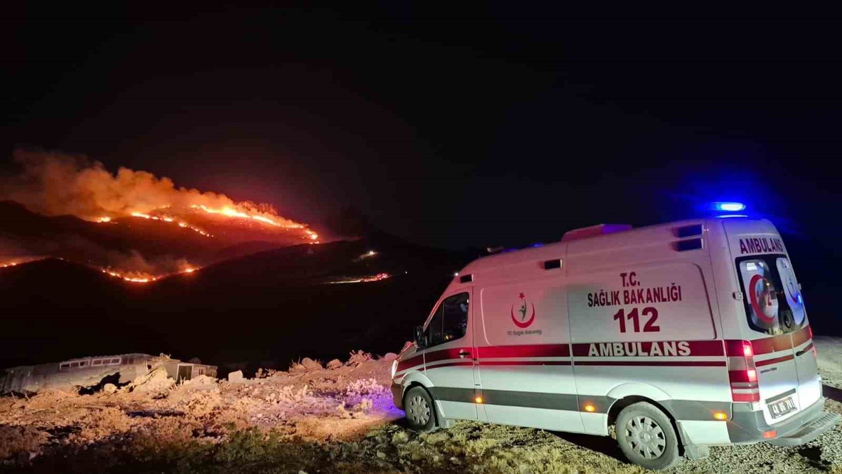 Bodrum\'da makilik alan alev aldı! Rüzgar yangını geniş bir alana taşıdı