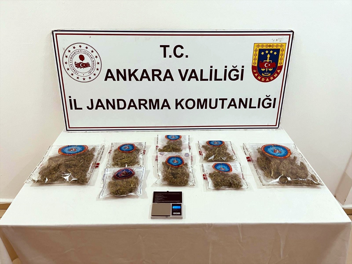 Ankara\'da jandarma baskınlarında evde kenevir yetiştiren 4 şüpheli gözaltına alındı