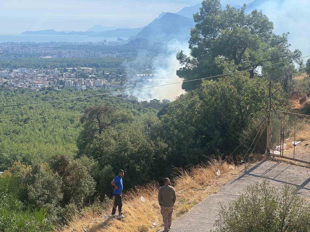 Antalya Kepez\'de orman yangınına 75 yangın işçisi ve itfaiye müdahale ediyor