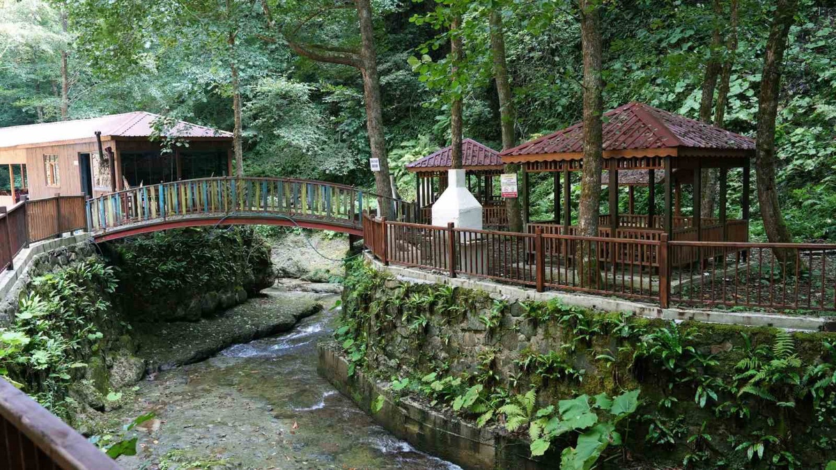 Artvin Murgul\'da \'ormanın yüzüğü\' şelalesi yeni görünümüyle ziyaretçi çekiyor