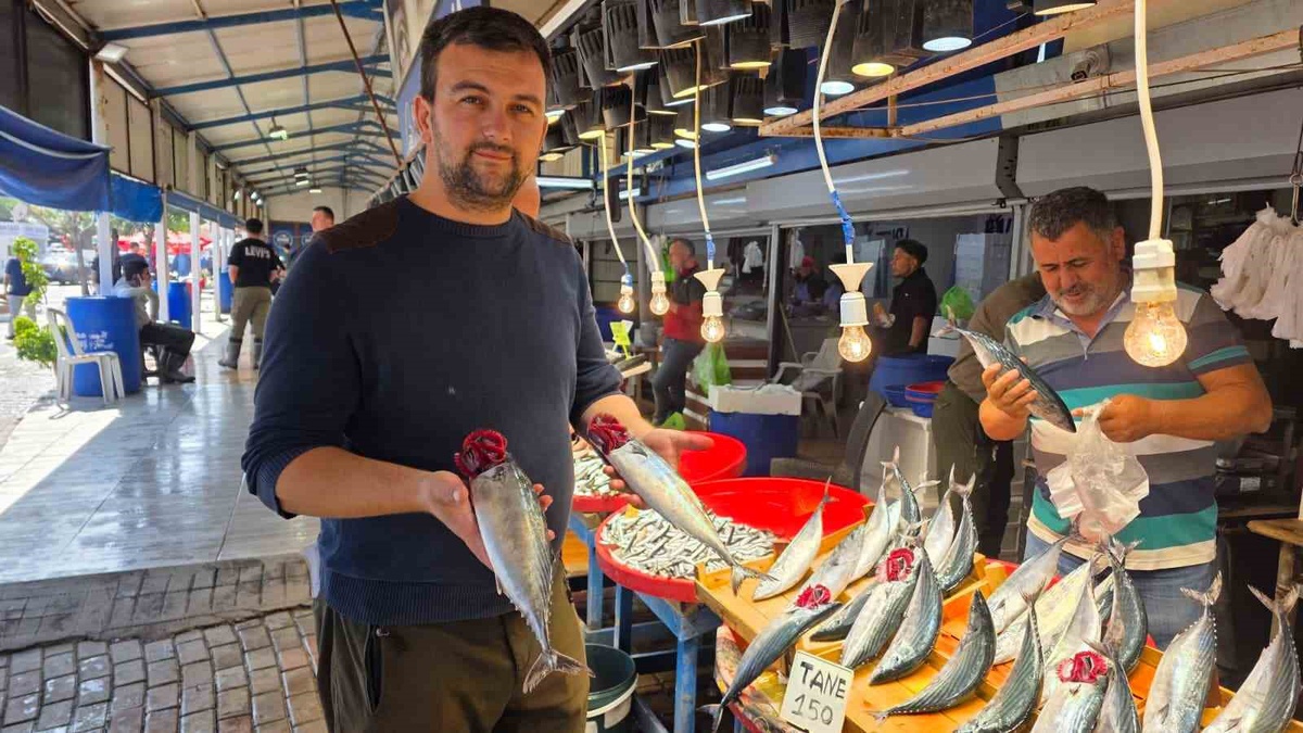 Bandırma\'da yaklaşık 750 gramlık palamutlar 150 liradan satışa sunuluyor