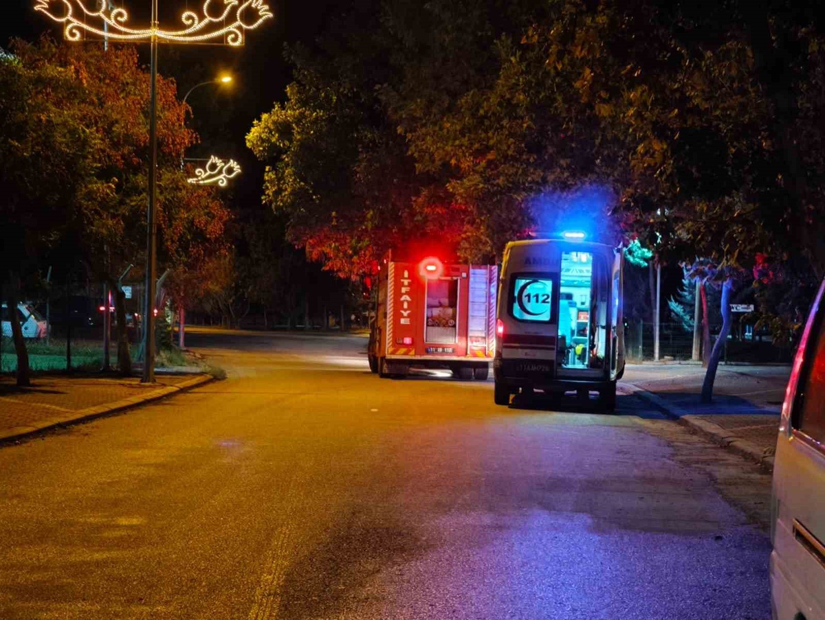 Bilecik Osmaneli\'de nehre düşen kişiyi ekipler, devrilen ağaca rağmen kurtardı