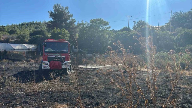 Bilecik Söğüt'te ot yangınında sera ve depo zarar gördü, alevler söndürüldü