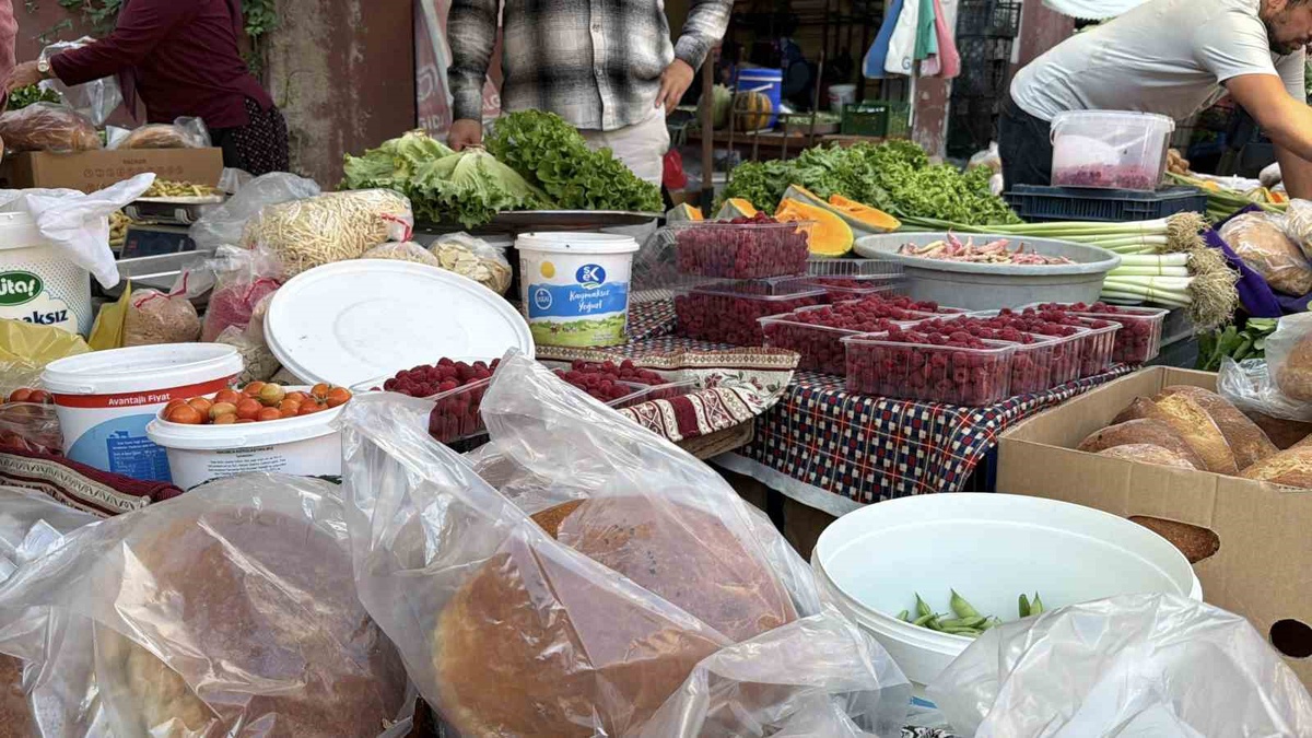 Bolu\'da köylüler yüzde 100 doğal ürünlerini semt pazarında aracısız satıyor