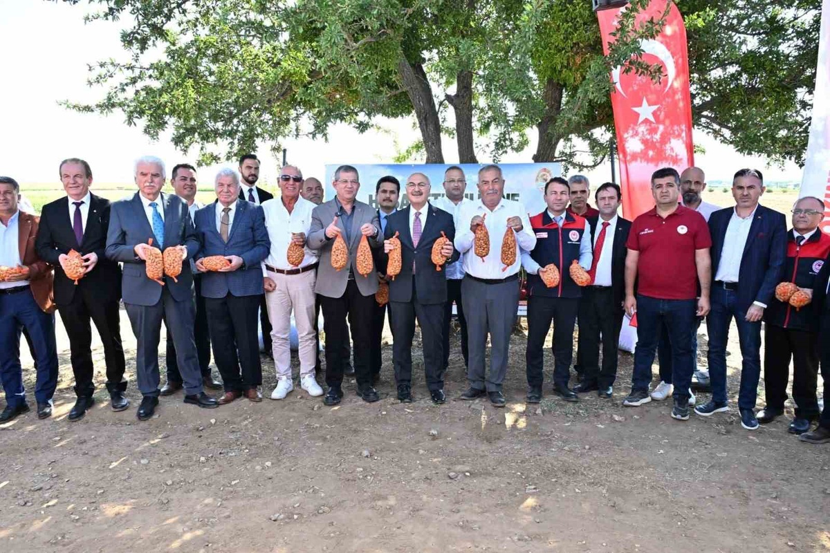 Denizli Acıpayam\'da badem hasadı yapıldı, üretim 2025\'te bin 872 tona geriledi