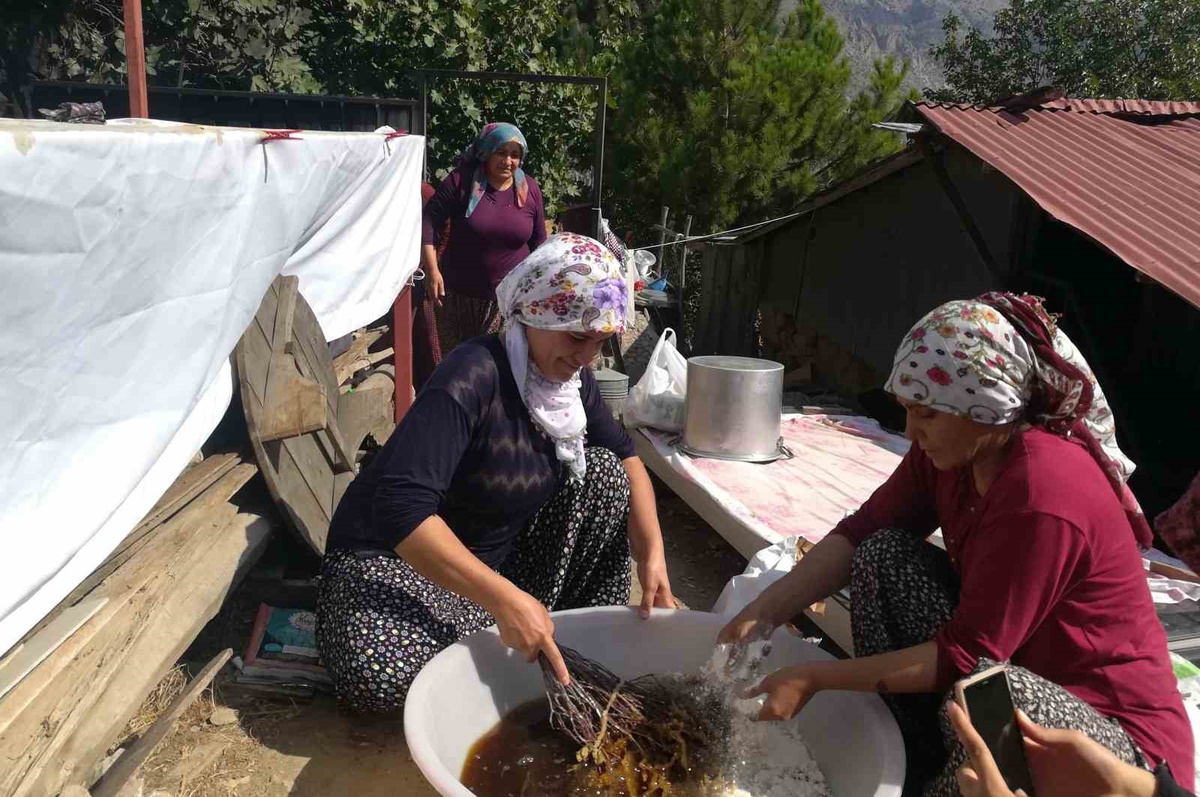 Kemaliye\'de erkekler dut toplamada destek veriyor, kadınlar pestil ve pekmez yapıyor