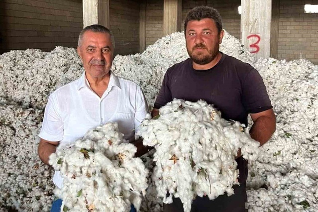 Gaziantep Araban'da pamuk hasadı başladı, ilk ürüne Cumhuriyet altını verildi