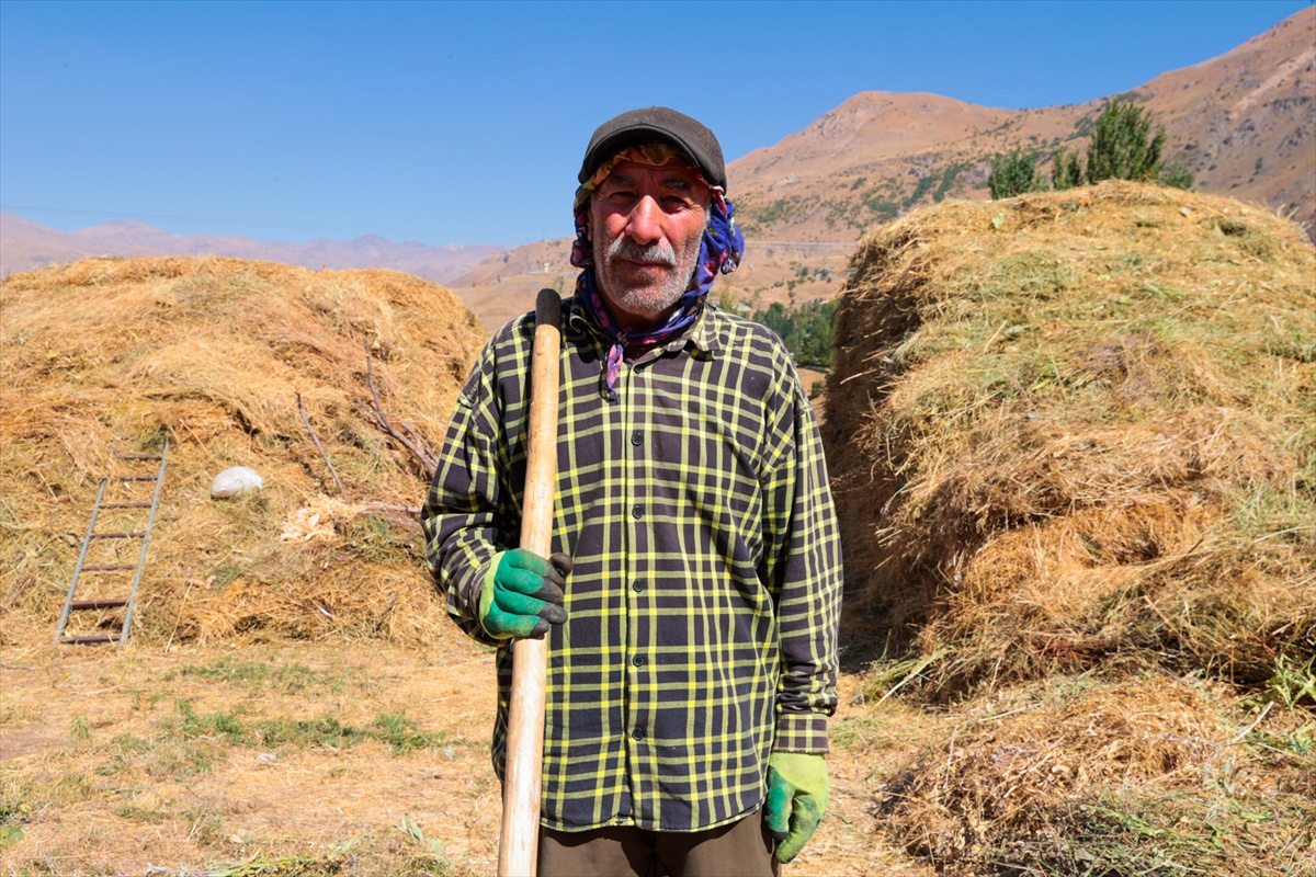 Hakkari\'de besiciler kışlık yem hazırlığında otları patozdan geçirip depoluyor